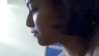 एक ठूलो कुखुरा विस्तृत बिल्ली अबाधित प्रवेश