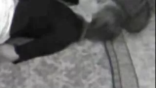 चब मिन मिन विने