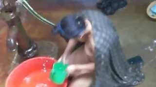 सुन्दर गोरा गधा बसिरहेका मा एक कुखुरा गहिरो छ