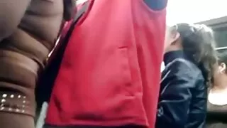 बिस्तारै प्रवेश को बिल्ली को एक सुन्दर केटी