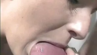 बल्ड कोटारा