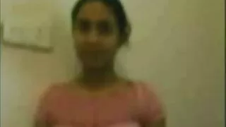 योग्य दृश्य कुखुरा दिन गधा गर्न स्टड
